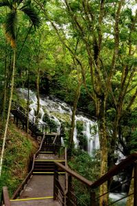 eine Treppe, die zu einem Wasserfall mit Bänken davor führt in der Unterkunft Look Tea House in Meishan