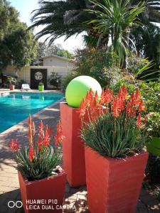 a green ball sitting on top of two red pots with flowers at Chic Breeze in Bloemfontein