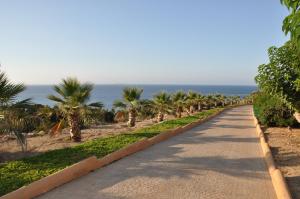 a road next to the beach with palm trees at Hotel Club Sunway Punta Prima in Es Pujols