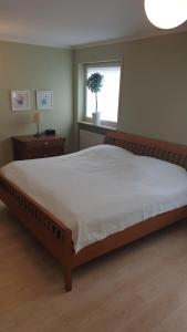 a large bed in a bedroom with a window at Bed and Pool in Oberursel