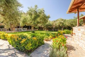 Κήπος έξω από το Electra Houses