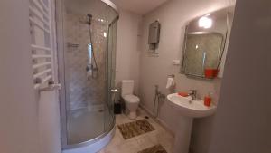 a bathroom with a shower and a toilet and a sink at LerMont Guest House in Lermontovo