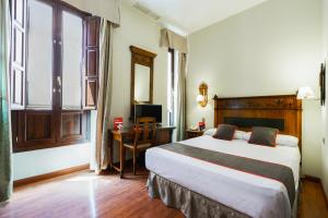 a bedroom with a bed and a dresser at Hotel Plaza Nueva in Granada