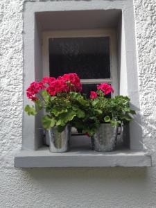 ラーンシュタインにあるFerienwohnung Lahnmündungの窓枠の赤い花2袋
