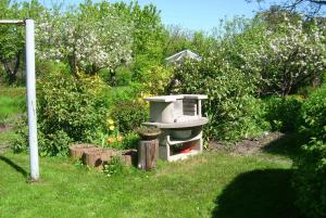 a garden with a bird house in the grass at Ferienhaus Annemarie in Senftenberg