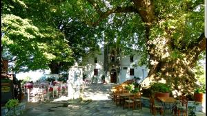 a patio with tables and chairs under a tree at Tsagarada Stone House 1898 in Tsagarada