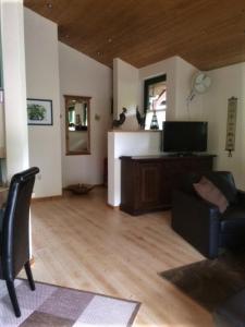 ein Wohnzimmer mit einem TV, einem Stuhl und einem Sofa in der Unterkunft Ferienhaus zwischen Wald und See in Möhnesee