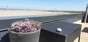 a black table with a plant on a balcony next to the beach at L'instant in Cayeux-sur-Mer