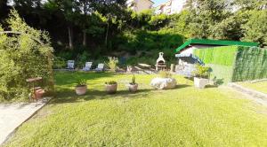 a yard with potted plants on the grass at Casa della nonna in Abbadia Lariana