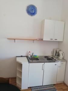 Apartman Dino的厨房或小厨房
