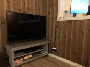En tv och/eller ett underhållningssystem på Norefjell Panorama