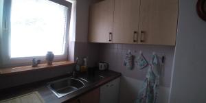 a kitchen with a sink and a window at Apartmán u potoka in Sadov