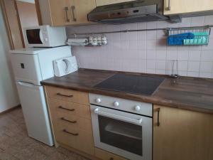 a kitchen with a white stove and a refrigerator at Apartmán u potoka in Sadov