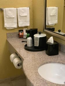 Kylpyhuone majoituspaikassa Ambassador Inn & Suites