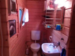 a small bathroom with a toilet and a sink at Ferienhaus im fränkischen Seenland - Altmühltal in Eichstätt