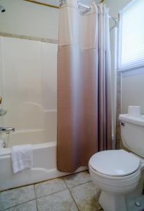 Montague的住宿－Winds Motel，带淋浴帘和卫生间的浴室