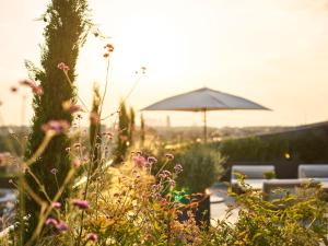 a garden with an umbrella and chairs and flowers at Le Meurice – Dorchester Collection in Paris