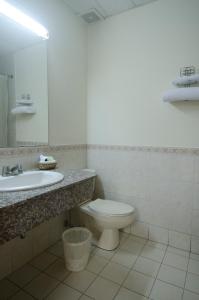 a bathroom with a toilet and a sink and a mirror at Hotel Berlin in San Salvador