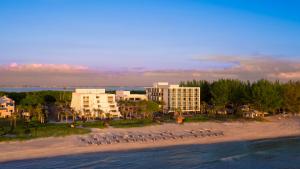 a beach with a flock of birds on the beach at Zota Beach Resort in Longboat Key