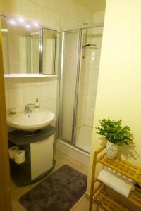 ein Bad mit einem Waschbecken, einer Dusche und einem Spiegel in der Unterkunft Ferienwohnung Kroppenmühle in Schönburg