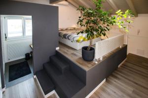 Fotografia z galérie ubytovania Sofi apartment v destinácii Chiavenna