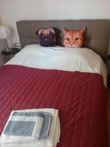a dog and a cat sitting on top of a bed at Tony Central Luxury Apartment 1 in Chania Town