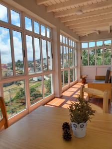 a room with large windows and a table with a plant at Hostel Criativo do Sabugueiro in Sabugueiro