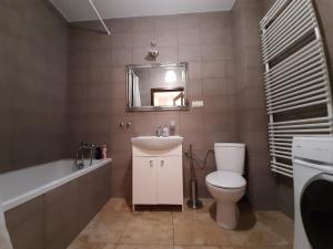 uma casa de banho com um WC, um lavatório e um espelho. em Apartamenty Lubin - Kamieniczka w Centrum em Lubin