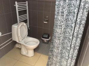 ein Badezimmer mit Toilette und Duschvorhang in der Unterkunft Alex's Cosy Guesthouse in Tbilisi City