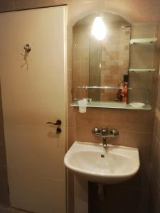 baño con lavabo y puerta con espejo en Villa Liana, en Bozhurets