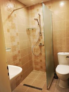 a bathroom with a shower with a toilet and a sink at Villa Liana in Bozhurets +10 photos