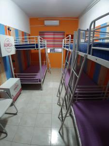 Uma ou mais camas em beliche em um quarto em Alameda Hostel