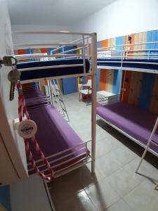 Uma ou mais camas em beliche em um quarto em Alameda Hostel