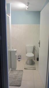 CholoyにあるGîte du Guéの青い壁のバスルーム(トイレ付)