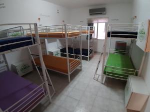 Uma ou mais camas em beliche em um quarto em Alameda Hostel