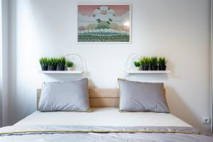 ノヴィサドにあるModern Naive Downtown with free private garage-Fast WI-FIのベッド1台(枕2つ、植物棚2つ付)