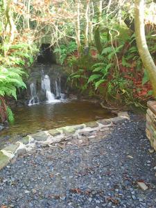 una piccola cascata nel mezzo di un giardino di Harmony Hall Veganic a Kilkenny