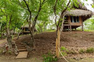 Zahrada ubytování Eco Venao Lodge, Playa Venao