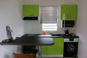 una pequeña cocina con armarios verdes y fregadero en L'Alizée, en Sainte-Rose