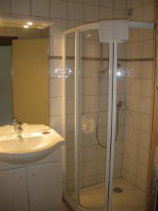La salle de bains est pourvue d'une douche et d'un lavabo. dans l'établissement Hotel Le Grand Tetras, à Morzine