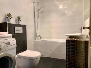 a bathroom with a toilet and a sink and a washing machine at Vilnius street apartment in Vilnius