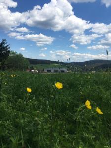 Príroda v okolí apartmánu