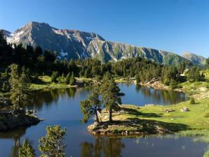 un lago en las montañas con un árbol en el medio en Charmant studio cabine COSY à 100 m des pistes, en Chamrousse