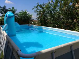 einem Pool mit einer blauen Wasserrutsche in in der Unterkunft Assaf's place - המקום של אסף in Aẖihud