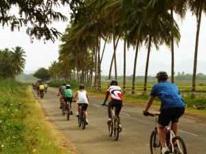 a group of people riding bikes down a road with palm trees at The Rajbari Bawali in Kolkata