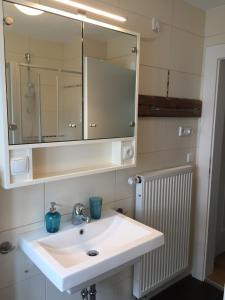 Kupaonica u objektu Schweizer Häusl