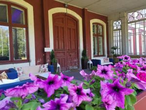Zahrada ubytování Ravila Manor