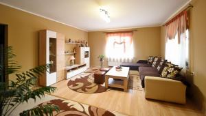 Gallery image of Casa Daria in Haţeg +26 photos