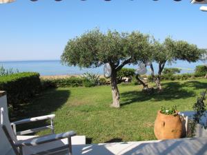 a yard with a tree and a chair and the ocean at Seafront Calista Beach House With Garden in Glyfada +46 photos