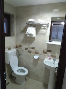 bagno con servizi igienici e lavandino di Pensiunea Luminita a Mustăţeşti